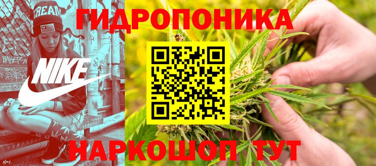 Марихуана конопля Нефтекумск
